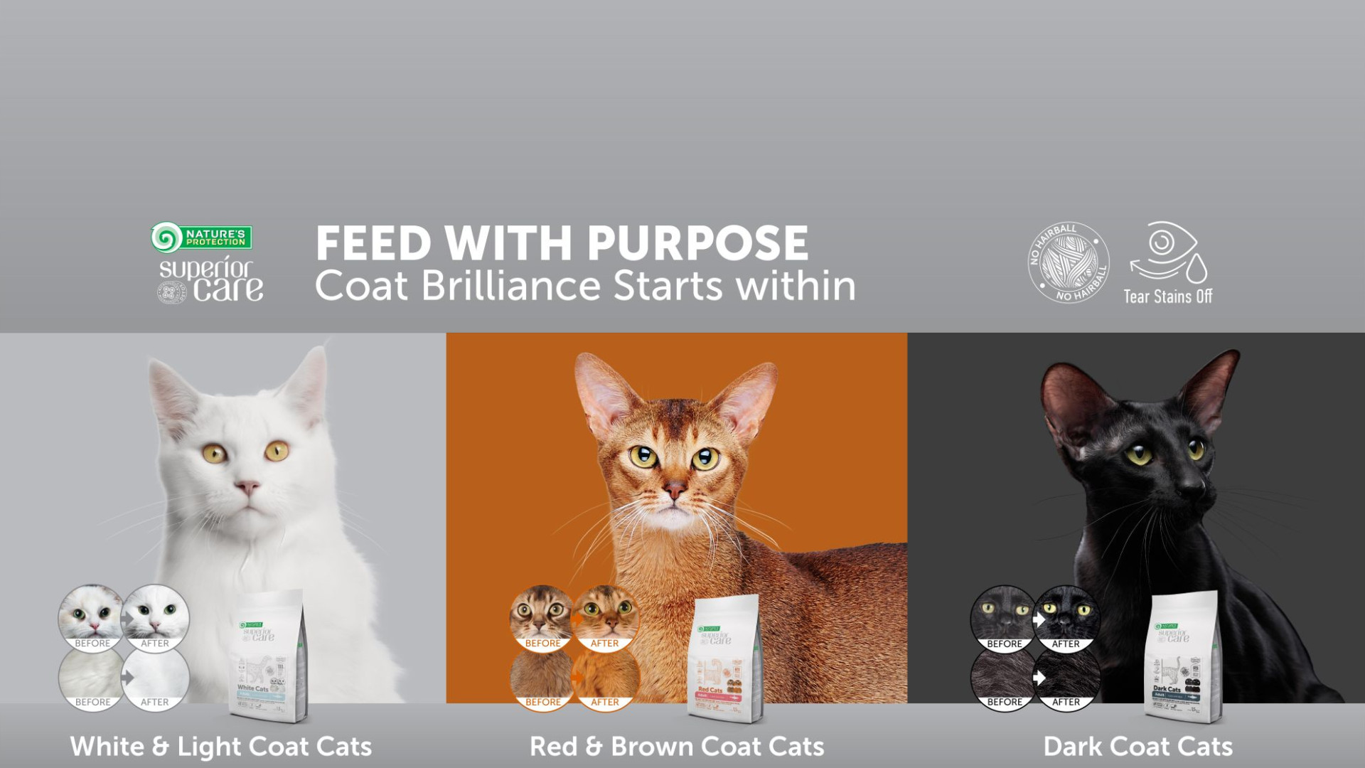 KIKA WORLD SHOP - Superior care cat