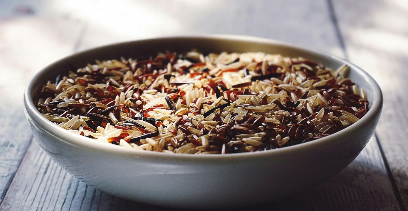 Brown Rice vs. White Rice in Pet Food — Which is better?