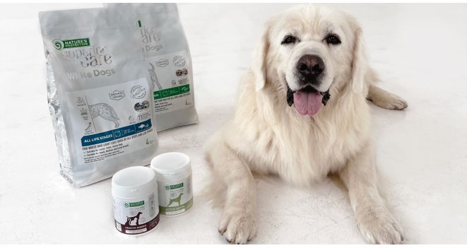 Microzeogen: A Natural Answer for Keeping Your Pet Healthy and Happy