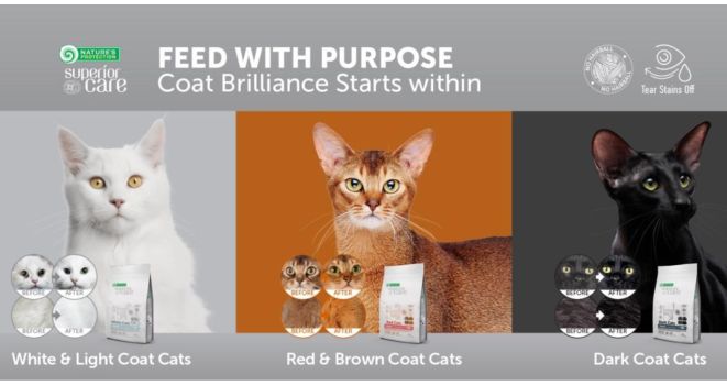 Innovation in Cat Food: Nature's Protection Superior Care Cats