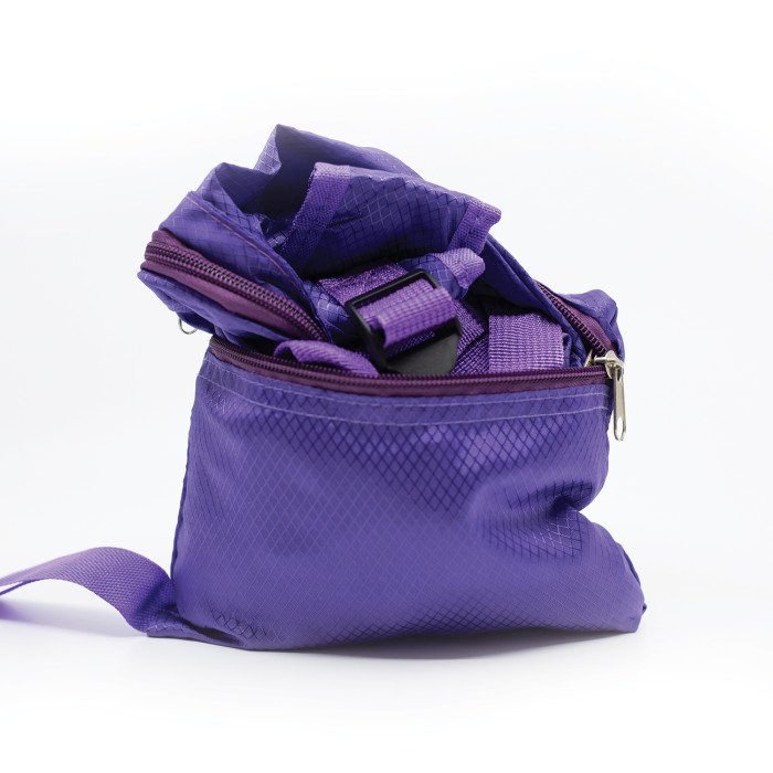 WORLD DOG SHOW foldable backpack 