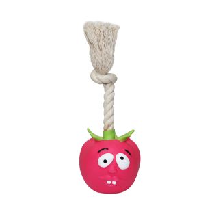 HIPPIE PET Toy for dogs TOMATO with rope, latex, red, 18,5 cm